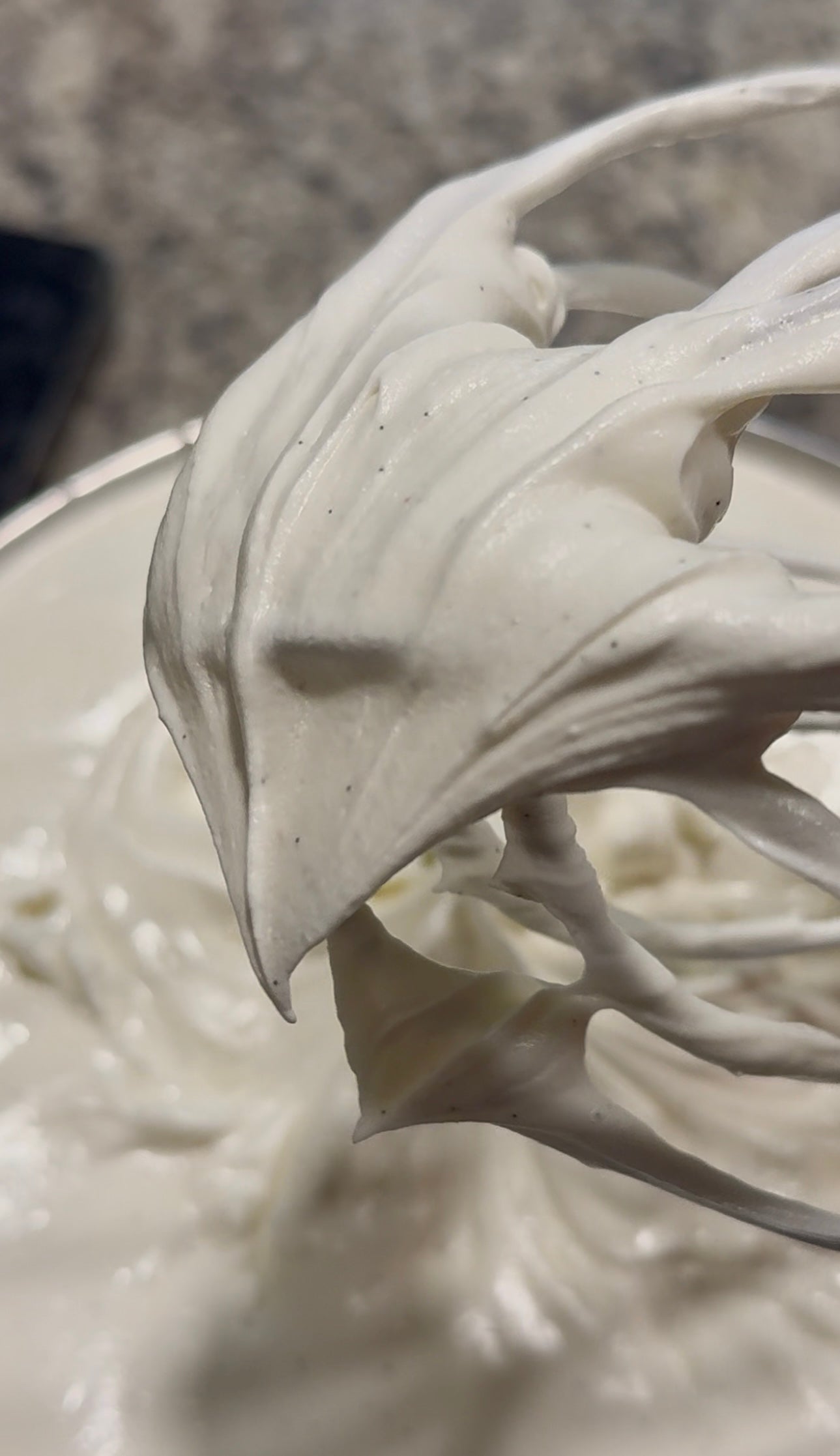 Vanilla Bean Whipped Suet Tallow Body Butter